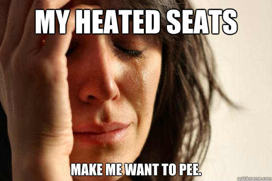 My heated seats Make me want to pee.  First World Problems