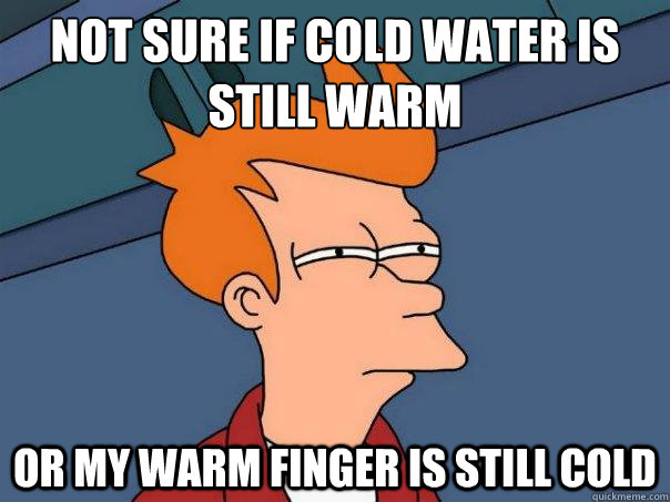 Not sure if cold water is still warm Or my warm finger is still cold - Not sure if cold water is still warm Or my warm finger is still cold  Futurama Fry