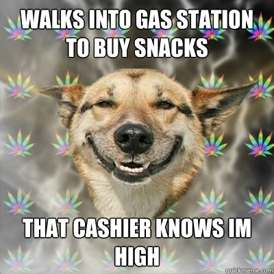 walks into gas station to buy snacks that cashier knows im high - walks into gas station to buy snacks that cashier knows im high  Stoner Dog