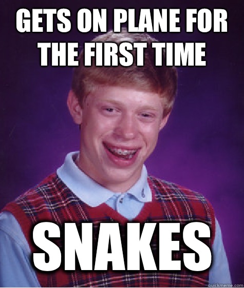 Gets on plane for the first time Snakes  Bad Luck Brian