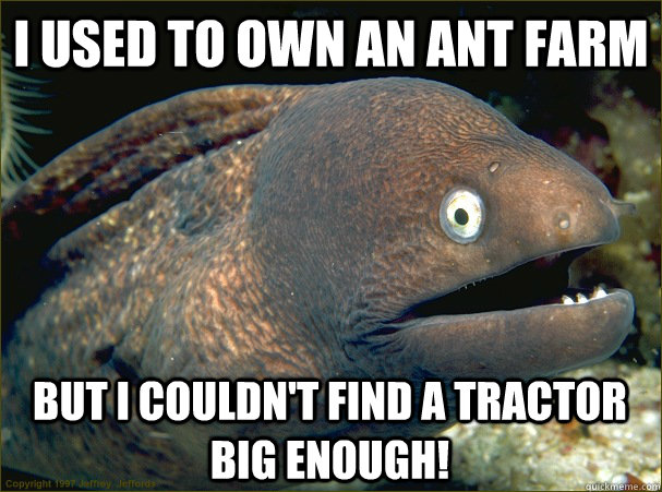 I used to own an ant farm But I couldn't find a tractor big enough!   Bad Joke Eel