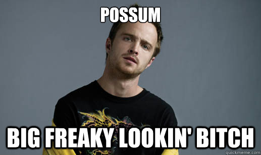 Possum big freaky lookin' bitch  Jesse Pinkman Loves the word Bitch