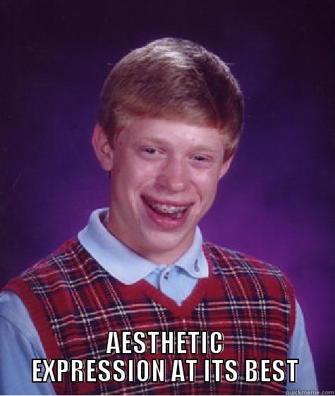  AESTHETIC EXPRESSION AT ITS BEST Bad Luck Brian