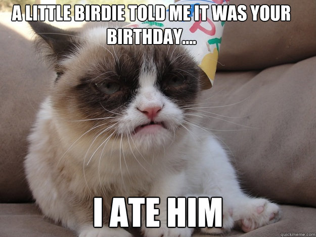 A little birdie told me it was your birthday.... I ate him - A little birdie told me it was your birthday.... I ate him  grumpy cat birthday