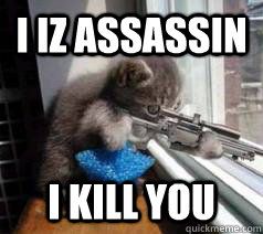I iz Assassin I kill you  Sniper Cat Assassin