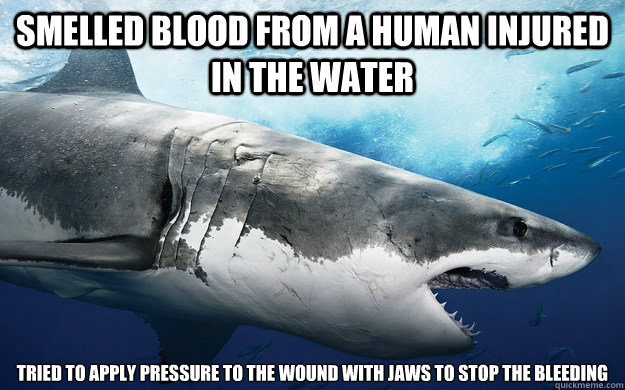 Smelled blood from a human injured in the water Tried to apply pressure to the wound with jaws to stop the bleeding - Smelled blood from a human injured in the water Tried to apply pressure to the wound with jaws to stop the bleeding  Misc