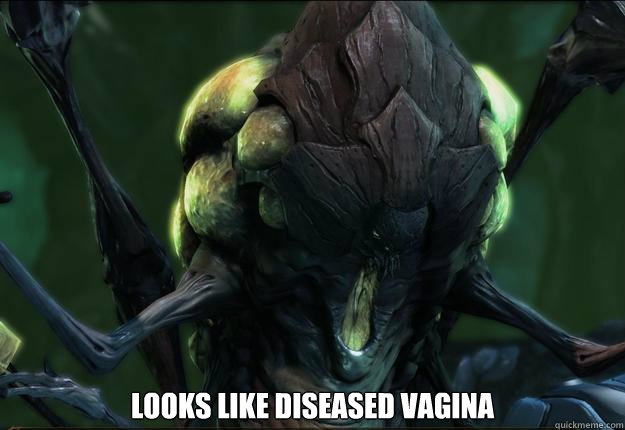  Looks like diseased Vagina -  Looks like diseased Vagina  Misc