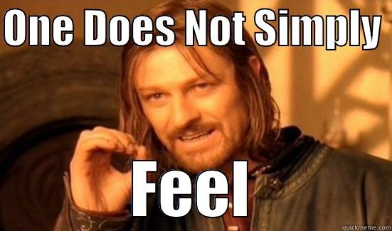 ONE DOES NOT SIMPLY  FEEL Boromir