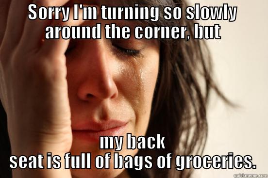 SORRY I'M TURNING SO SLOWLY AROUND THE CORNER, BUT MY BACK SEAT IS FULL OF BAGS OF GROCERIES. First World Problems