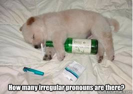  How many irregular pronouns are there?  Latin Meme