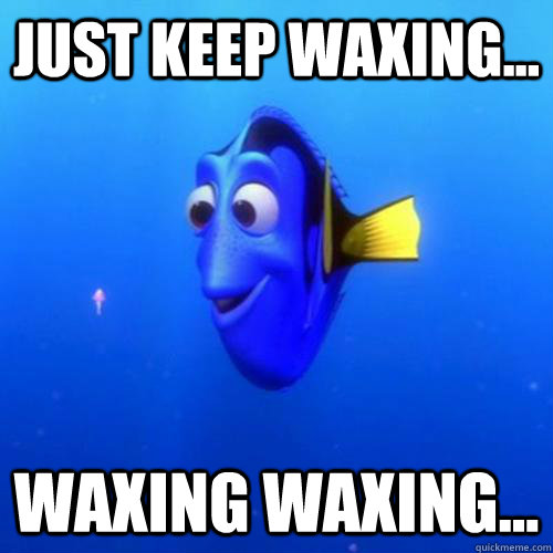 Just keep waxing... waxing waxing...  dory