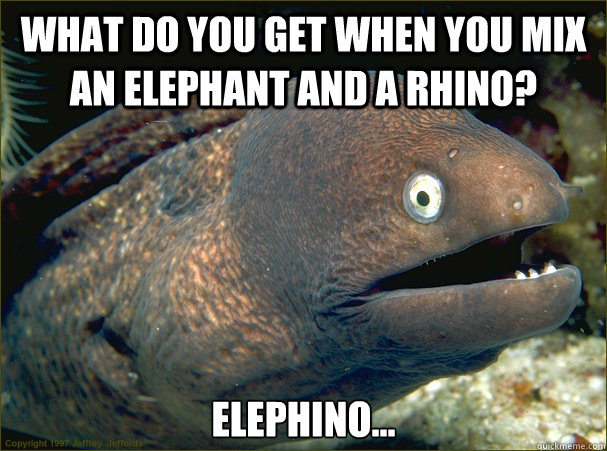 What do you get when you mix an elephant and a rhino? Elephino...  Bad Joke Eel