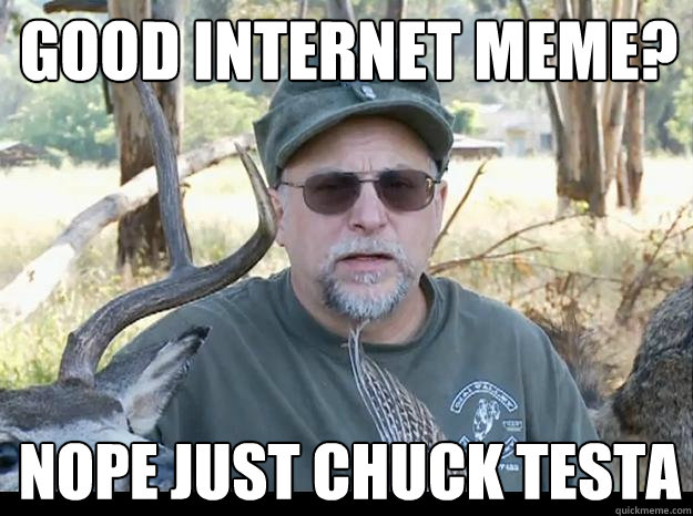 GOOD INTERNET MEME? NOPE JUST CHUCK TESTA - GOOD INTERNET MEME? NOPE JUST CHUCK TESTA  Taxidermy Testa