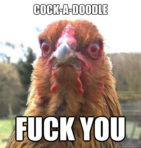 Cock-A-doodle Fuck you - Cock-A-doodle Fuck you  RageChicken