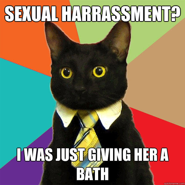 Sexual Harrassment? I was just giving her a bath  Business Cat
