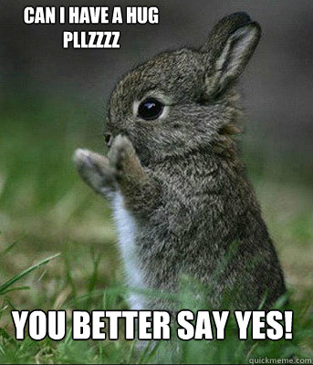 you better say yes! Can i have a hug pllzzzz - you better say yes! Can i have a hug pllzzzz  Cute bunny