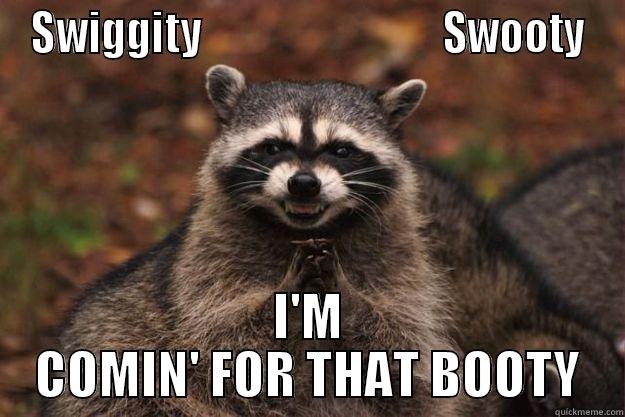 Pirate's Booty - SWIGGITY                             SWOOTY I'M COMIN' FOR THAT BOOTY Evil Plotting Raccoon