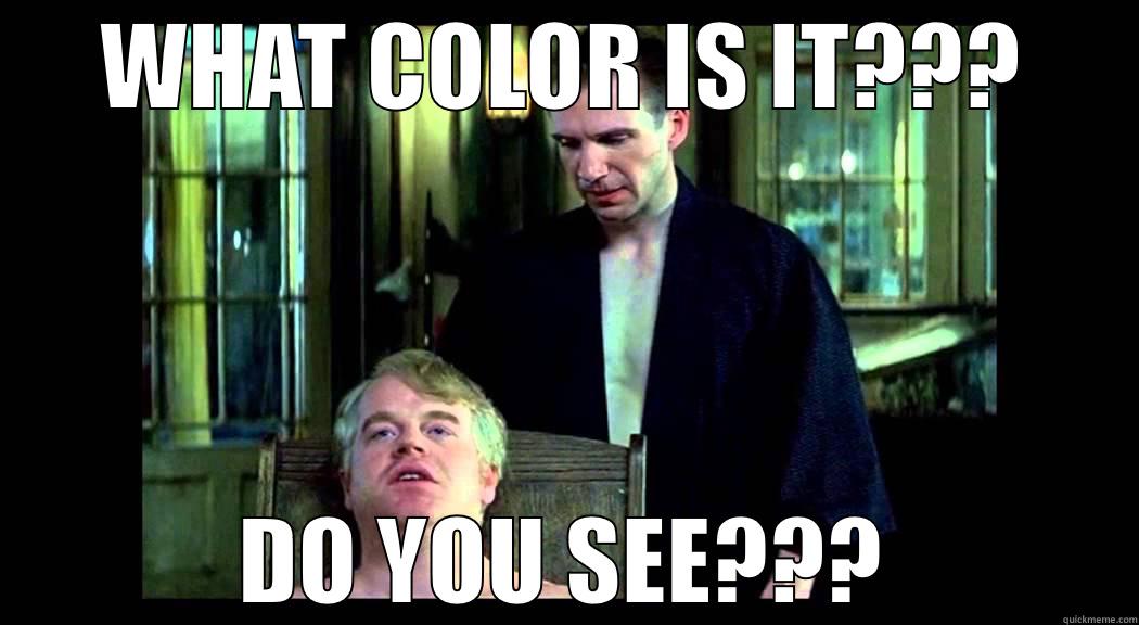 JE SUIS #THEDRESS - WHAT COLOR IS IT??? DO YOU SEE??? Misc