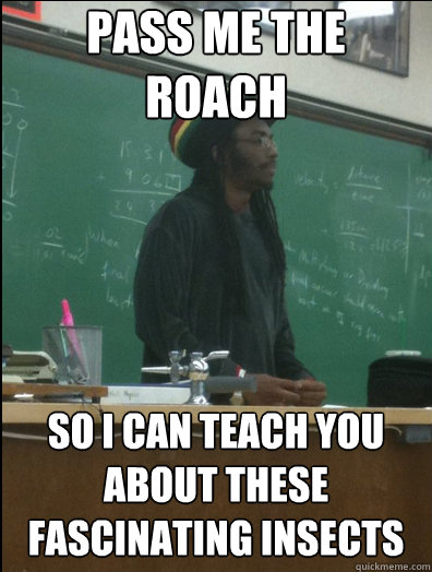 pass me the roach so i can teach you about these fascinating insects  Rasta Science Teacher