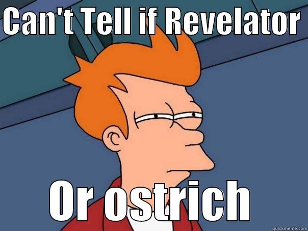 CAN'T TELL IF REVELATOR  OR OSTRICH Futurama Fry