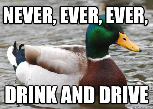 never, ever, ever, drink and drive  Actual Advice Mallard