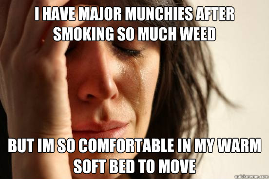 i have major munchies after smoking so much weed but im so comfortable in my warm soft bed to move  First World Problems