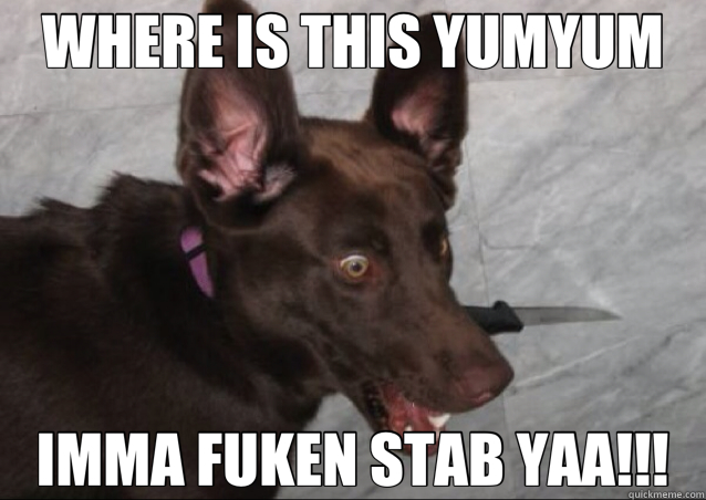 WHERE IS THIS YUMYUM IMMA FUKEN STAB YAA!!! - WHERE IS THIS YUMYUM IMMA FUKEN STAB YAA!!!  crazy dog