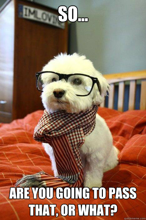 so... Are you going to pass that, or what?  Hipster Dog
