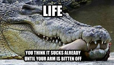 Life  You think it sucks already until your arm is bitten off  alligator funny