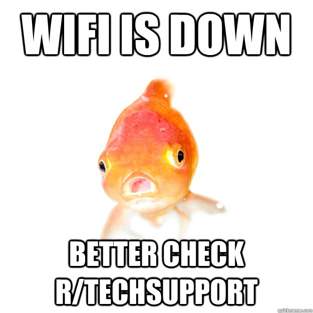 WiFi is down Better check r/TechSupport  Forgetful Goldfish