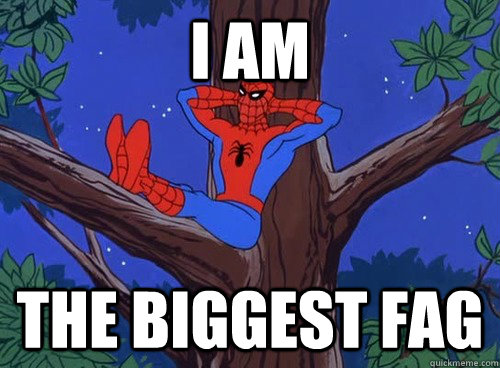 I am THe biggest fag - I am THe biggest fag  Spider man