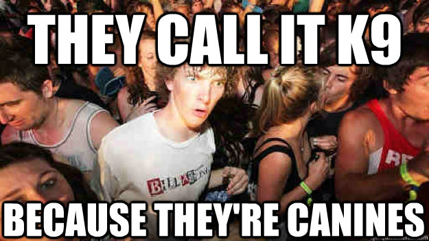 They call it K9 Because they're canines  Sudden Clarity Clarence