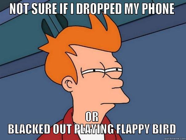 Fry Bird - NOT SURE IF I DROPPED MY PHONE OR BLACKED OUT PLAYING FLAPPY BIRD Futurama Fry