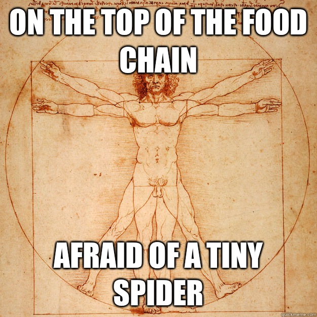 On the top of the food chain Afraid of a tiny spider  