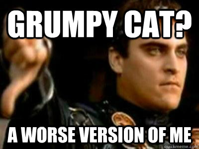 Grumpy Cat? A worse version of me  Downvoting Roman