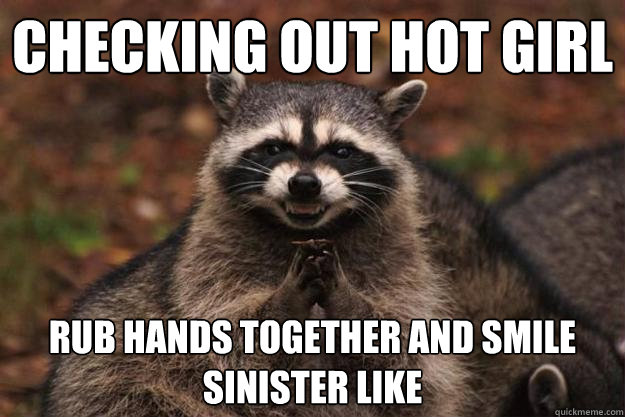 checking out hot girl rub hands together and smile sinister like  Evil Plotting Raccoon