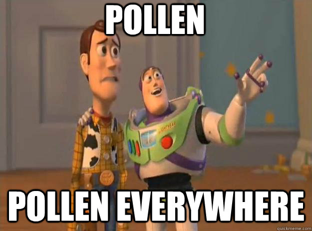 Pollen pollen everywhere - Pollen pollen everywhere  Prox Everywhere