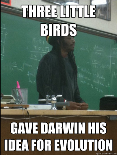 Three Little birds gave darwin his idea for evolution  Rasta Science Teacher