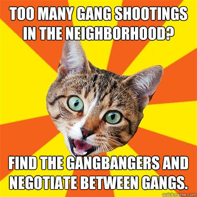 Too many gang shootings in the neighborhood? Find the gangbangers and negotiate between gangs.  Bad Advice Cat