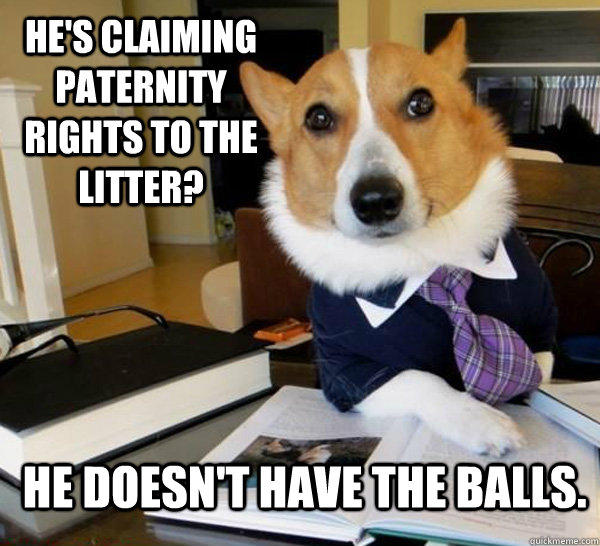 He's claiming paternity rights to the litter? He doesn't have the balls.  Lawyer Dog