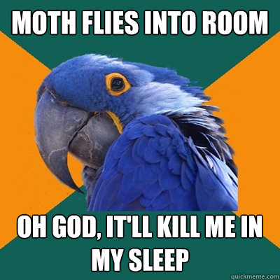 moth flies into room oh god, it'll kill me in my sleep  Paranoid Parrot