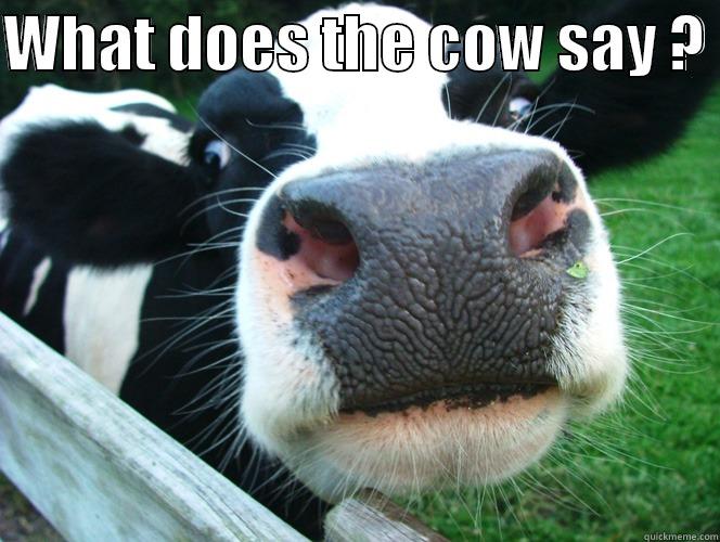 what does the cow say? quickmeme
