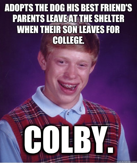 Adopts the dog his best friend's parents leave at the shelter when their son leaves for college. Colby.   - Adopts the dog his best friend's parents leave at the shelter when their son leaves for college. Colby.    Bad Luck Brian