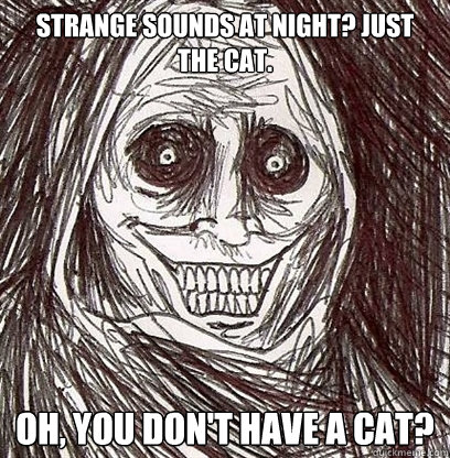 Strange sounds at night? Just the cat. Oh, you don't have a cat?  
