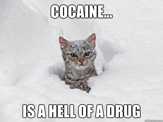 Cocaine... Is a hell of a drug  