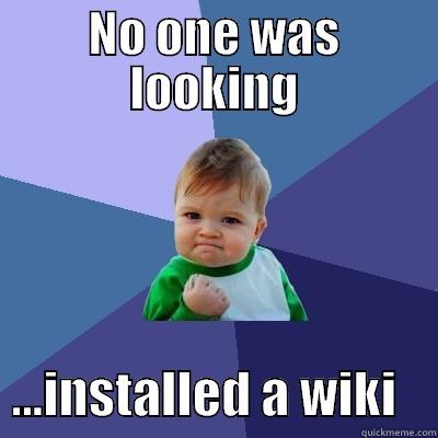 NO ONE WAS LOOKING   ...INSTALLED A WIKI    Success Kid