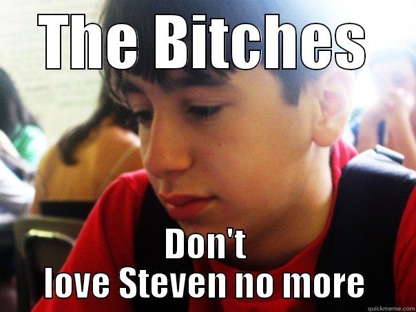 THE BITCHES DON'T LOVE STEVEN NO MORE Misc