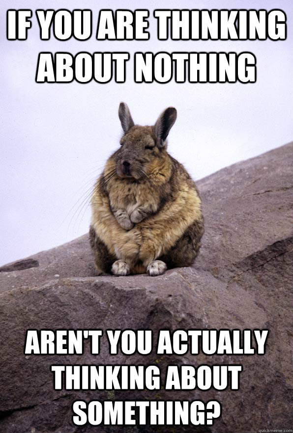 if you are thinking about nothing aren't you actually thinking about something?  Wise Wondering Viscacha