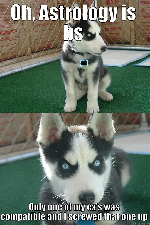 OH, ASTROLOGY IS BS ONLY ONE OF MY EX'S WAS COMPATIBLE AND I SCREWED THAT ONE UP Insanity puppy