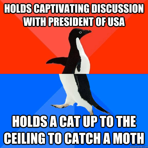 Holds Captivating discussion with President of USA Holds a cat up to the ceiling to catch a moth  Socially Awesome Awkward Penguin